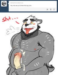 arcarc armpit_hair badger male male_only mammal masturbation mustelid penile_masturbation penis solo tumblr