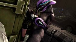 1boy 1boy1girl 1girls 2018 3d absurdres alien alien/human alien_girl animated ass big_ass big_breasts big_butt breasts butt duo female female_sangheili grey_skin halo_(game) halo_(series) hands head_grab highres huge_breasts human human_penetrating interspecies large_breasts male male/female male_human/female_alien male_human/female_humanoid moaning penetration sangheili scrungusbungus sex size_difference sound source_filmmaker standing thick_thighs vaginal_penetration video voluptuous