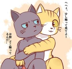 blush clothing erection feline hug kuehiko_roshihara male mammal muscular penis tapio_chatarozawa working_buddies! yaoi ラーメン_(artist)