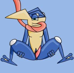 amphibian anthro comet_the_greninja cometmystic21 digital_media_(artwork) erection frog generation_6_pokemon genitals greninja hi_res looking_at_viewer male nintendo nude open_mouth penis pokemon pokemon_(species) presenting simple_background solo tongue