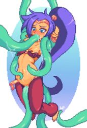 shantae (character) from shantae by wannabepixels