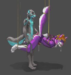 2boys animal_ears animal_genitalia animal_nose animal_only animal_penis animal_tail anthro anthro_on_anthro anthro_only ball_gag bondage bound canine cat_o'_nine_tails chastity chastity_cage cum cum_drip drooling duo erection fluffy_tail foreskin furry furry_ears furry_only furry_tail gag gay gay_domination hands_behind_back hybrid_penis intact julicat lock male male/male male_domination male_only maledom malesub mammal mustelid no_humans nude otter outercourse retracted_foreskin rope saliva smile smooth_penis submissive_anthro submissive_male tail tail_bondage tongue tongue_out uncut yaoi