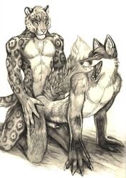 2018 2boys 5_fingers abs all_fours anal anal_sex animal_genitalia anthro anthro_on_anthro arik athletic base_progression biceps biped black_and_white canine claws closed_eyes doggy_style duo fangs feline fluffy fluffy_tail fox from_behind_position fur hi_res interspecies jaguar kneeling male male_focus male_only male_penetrating mammal monochrome muscular muscular_male nude oakspirit pecs pencil_(artwork) penetration penis penis_tip sex sheath simple_background smile snout spots spotted_fur teeth traditional_media_(artwork) white_background yaoi