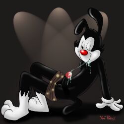 1:1 animaniacs anthro black_body black_ears black_fur black_penis black_tail bottomwear bottomwear_down cheek_tuft clothing erection facial_tuft fur genitals gloves handwear humanoid_genitalia humanoid_penis leg_markings male markings one_eye_closed penis red_nose simple_background simple_eyes socks_(marking) solo tail tuft warner_brothers white_body white_fur yakko_warner yaoifairy