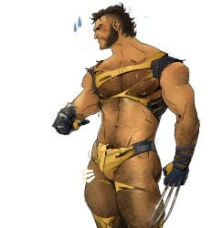 chris_sdd comic male_only marvel marvel_comics wolverine wolverine_(x-men) x-men