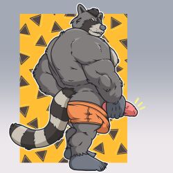 abstract_background anthro big_muscles chrm clothed clothing exhibitionism foreskin fur genitals grey_body grey_fur hi_res holding_penis looking_back male male_only mammal muscular muscular_male partially_clothed penis procyonid raccoon rear_view smile smirk solo stocky tail thick_tail underwear underwear_down underwear_only