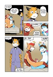 anthro canine caught comic feline fox frottage kojiyoung male mammal penis red_panda sex shizumi_aoki tiger tolok wavemaster yaoi