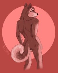 10s 2018 anal anthro ass athletic balls canine cute eyelashes fluffy fur holidays kotalis looking_at_viewer male male_only mammal muscular muscular_male nude pose red_fur shiba_inu simple_background smile solo standing