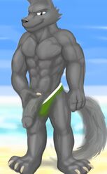 abs anthro clothed clothing erection fur humanoid_penis male male_only muscular muscular_male pecs penis simple_background sirbossy1 smile solo speedo standing swimsuit topless underwear vein veiny_penis