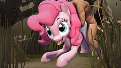 1boy 3d ambiguous_penetration animated fishimira friendship_is_magic human human_on_feral interspecies male mammal mare my_little_pony pinkie_pie_(mlp) pony sex source_filmmaker straight straight_hair tongue tongue_out