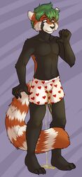2015 4_toes 5_fingers abstract_background anthro black_fur black_nose boxers_(clothing) clothed clothing fur green_hair hair heart hi_res male male_only mammal markings multicolored_fur multicolored_tail omorashi pattern_background peeing red_fur red_panda shadowpelt simple_background solo standing striped_background striped_tail stripes toes topless underwear urine watersports wetting white_fur