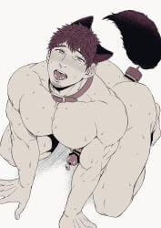 1boy 4_ears all_fours anal_insertion anal_penetration anal_plug ass ass_cleavage bara beard_stubble beefy biceps big_ass blush blushing_profusely bubble_ass bubble_butt censor_bar censored censored_penis collar collarbone completely_nude dark_hair double_penetration drooling erection freaky gay grey_background half-closed_eyes hand_on_ground hi_res high-angle_view humiliation kemonomimi kneeling looking_at_viewer looking_up male male_only male_penetrated manly masochism mature_male moaning monochrome muscles muscular muscular_arms muscular_legs muscular_male muscular_neck muscular_thighs no_body_hair nude obedience object_in_ass object_in_urethra object_insertion oppai original original_character pecs penis petplay pointless_censoring quadriceps retracted_foreskin saliva saliva_trail short_hair solo submissive sweat sweatdrop sweating sweaty tail_plug thick thick_legs thick_thighs tongue_out urethral_beads urethral_insertion urethral_penetration wanting_more yaoi yomotsuki_road