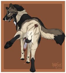 2026 anatomically_correct anatomically_correct_genitalia anatomically_correct_penis animal_genitalia animal_penis anus balls bodily_fluids border canid canine canine_genitalia canine_penis canis domestic_dog dripping feral genital_fluids genitals german_shepherd hateeven herding_dog hi_res knot knotted_penis male mammal pastoral_dog penis precum precum_drip solo spudz vein veiny_penis white_border