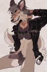 abs anthro athletic athletic_anthro athletic_male balls bedroom_eyes bottomless bottomless_anthro bottomless_male brown_body brown_fur canid canine canis cheek_tuft clothed clothing coyote erection facial_tuft fangs fur genitals grey_hair hair half-closed_eyes harness hi_res humanoid_genitalia humanoid_penis jacket leather leather_clothing leather_jacket leather_topwear lips male mammal muscle_tone narrowed_eyes neck_tuft open_clothing open_jacket open_topwear pecs penis pubes seductive simple_background smile smirk smug smug_face smug_grin solo tan_body tan_fur teeth terribleanimal thick_bottom_lip topwear tuft white_background