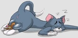 2016 anus balls feline grandschemetheme jerry_mouse male male_only mammal mouse rodent sleeping tom_and_jerry tom_cat