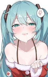hatsune miku from vocaloid