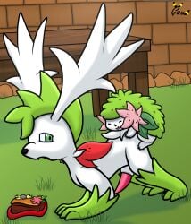 absurd_res anal anal_penetration animal_genitalia animal_penis bag dart_(gau) desk digital_media_(artwork) doggystyle duo erection everstone_guild eyes_closed feral from_behind_position furniture gau_(artist) generation_4_pokemon genitals half-closed_eyes hi_res kosa land_forme_shaymin legendary_pokemon male male/male male_penetrated male_penetrating male_penetrating_male mythical_pokemon narrowed_eyes nintendo open_mouth penetration penile penis pokemon pokemon_(species) pokemon_mystery_dungeon satchel sex shaymin sheath size_difference sky_forme_shaymin spike_chunsoft table tail tapering_penis tongue