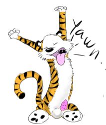 2017 balls calvin_and_hobbes da~blueguy feline hobbes male male_only mammal open_mouth penis solo tiger tongue tongue_out white_background yawn