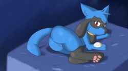 ass blue_fur female fur glare looking_at_viewer nintendo pawpads paws pokémon_(species) pokemon presenting presenting_hindquarters pussy riolu rvlis solo video_games