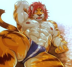 1boy blush brown_eyes bulge clothing embarrassed feline fur hair invalid_tag looking_away male male_only mammal muscular muscular_male nipples nomad_(tokyo_afterschool_summoners) oaks16 open_mouth orange_fur partially_clothed red_hair seductive solo speedo striped_fur stripes tiger underwear white_fur