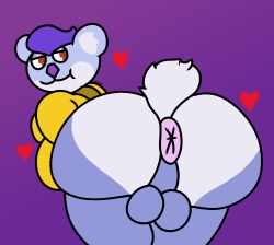 1male 2026 anus ass balls ballsack booty bottomless butt clothed clothing cringebird first_porn_of_character gradient_background heart_symbol hoodie koala love_and_karaoke male marsupial partially_clothed presenting presenting_hindquarters slotomania sydney_(love_and_karaoke) tagme