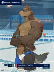 anthro bulge canid canine clothing evvi genitals italian_flag male male_only mammal olympics penis penis_base solo speedo swimming_pool swimwear