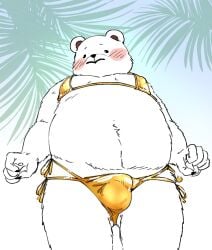 anthro bear belly bepo_(one_piece) bikini blush bulge clothed clothing crossdressing detailed_bulge embarrassed fur male male_only mammal micro_bikini moobs nekokat42 nipples one_piece overweight polar_bear solo swimwear two-piece_swimsuit ursine white_body white_fur