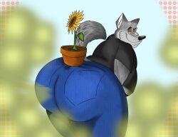 anthro ass bedroom_eyes big_butt canid canine canis clothed clothing fart fart_cloud fart_fetish farting_at_viewer flower flower_pot gassy hi_res looking_back male mammal narrowed_eyes plant raised_tail seducing_viewer seductive smelly solo sunflower sunflower_fox tail thick_thighs wolf