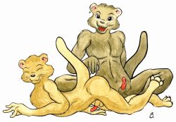 anthro ass b_(artist) balls black_nose brown_body brown_fur closed_eyes duo ear_piercing ear_ring erection eyebrows fur genitals hindpaw humanoid_hands looking_at_viewer lying male male_only mammal marker_(artwork) mustelid nude on_front open_mouth otter paws penis piercing pink_inner_ear raised_tail red_penis red_tongue ring_piercing shaded simple_background sitting smile tail teeth tongue traditional_media_(artwork) whiskers white_background yellow_body yellow_fur