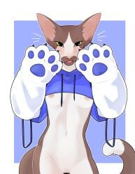 absurd_res anthro ayannzer bolero bolero_jacket bolero_top bottomless breasts clothed clothing domestic_cat felid feline felis female hi_res mammal navel nipples organs oriental_shorthair partially_clothed pawpads paws slim small_breasts solo stomach sweater topwear topwear_only under_boob