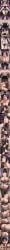 1boy 1girl 2boys 6+boys after_anal after_sex after_vaginal ai_assisted ai_generated all_fours anal animal_ears anus artist_name ass ass_focus bent_over big_ass big_breasts big_penis black_hair black_skirt blowjob blowjob_face blush bow bra breasts cleavage cleft_of_venus collar collarbone comic comic_page comic_panel comic_strip completely_nude covering_crotch covering_privates cowboy_shot crowd cum cum_in_ass cum_in_pussy cum_string cumdrip cumdump deep_penetration deepthroat disembodied_penis dress dripping dripping_cum dripping_pussy ejaculation english_text erection fellatio female formal from_behind from_below from_side gangbang gape gaped_anus gaping glory_hole grin group_sex hair_ribbon halo hat heart heart-shaped_pupils high_school_dxd huge_cock hypnosis indoors inner_monologue kisstaurus large_breasts large_penis long_hair looking_at_viewer looking_back mmf_threesome mole_on_breast multiple_boys multiple_penises nipples nude on_knees one_eye_closed open_mouth oral oral_invitation orgasm orgy outstretched_arms parted_bangs parted_lips patreon_logo patreon_username penis pet_play petite pink_bow pink_eyes pink_ribbon ponytail pov presenting profile puffy_short_sleeves puffy_sleeves purple_eyes pussy rolling_eyes saliva selfie serafall_leviathan sex shiny_skin shirt short_sleeves sitting skirt smile solo solo_focus stage_lights standing straight submissive submissive_female sucking sucking_penis suit swallowing swallowing_cum sweat sweatdrop sweating swollen_anus symbol-shaped_pupils tearing_up tears teeth testicles text thick_thighs thighs threesome tongue tongue_out topless twintails uncensored underbust upper_teeth_only uvula veins veiny_penis very_long_hair web_address wet wet_body wet_skin white_shirt wrist_cuffs