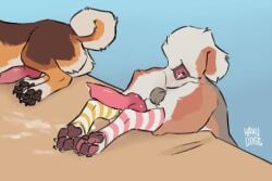 after_anal after_anal_penetration anal_wink animal_genitalia animal_penis animated anthro anus ass balls bodily_fluids canid canine canine_genitalia canine_penis canis clothing cum cum_expulsion cum_fart cum_from_ass cum_in_ass cum_inside cumshot curled_tail curling_toes darkened_balls darkened_genitalia domestic_dog duo ejaculation feet fen_(hakudoge) feral genital_fluids genitals hakudoge hi_res knot knotted_penis leg_warmers legwear male_only mammal pawpads paws penis sheath shiba_inu spitz tail tail_motion tailwag throbbing throbbing_penis unnamed_character_(kettukarkki)