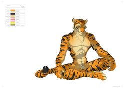 1boy animal_genitalia anthro balls cross-legged crossed_legs feline fur furry generalbarcode hi_res kung_fu male male_only mammal nude penis penis_tip sheath simple_background sitting solo tiger white_background