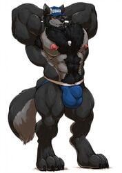 1boy 2018 abs anthro armpit_hair bara beard biceps big_muscles black_fur black_hair body_hair bulge canine chest_hair clothing coach_mika digital_media_(artwork) facial_hair fur furry grey_fur grisser hair hat humanoid jockstrap looking_at_viewer male male_only mammal muscular muscular_male nipples nude paws pecs pubic_hair simple_background smile solo standing testicles underwear whistle white_background wolf