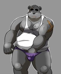 bear bikini_briefs bulge clothing daigo_kumano male male_only mammal purple_underwear shiba-kenta shirt solo tank_top touching_penis white_shirt