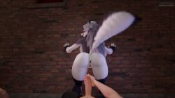 3d_(artwork) 3d_animation against_surface against_wall animated anthro anus areola ass assisted_exposure big_breasts big_butt biped blush bodily_fluids bouncing_breasts breasts canid canid_demon canine clothing cum cum_on_butt demon digital_media_(artwork) eyelashes female fluffy fluffy_tail fur genital_fluids genitals grey_body hellaverse hellhound helluva_boss hi_res huge_filesize human insult insulting_viewer legwear long_playtime loona_(dogzeela) loona_(helluva_boss) male male/female mammal masturbation multicolored_body mythological_canine mythological_creature mythology nipple_piercing nipples oatmealpecheneg penile penile_masturbation penis piercing precum profanity pupils raised_tail red_sclera shaking_butt smile sound sound_warning tagme tail thigh_highs thong underwear undressing video vulva white_body
