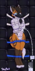 1:2 absurd_res anthro asphyxiation belt bodily_fluids bondage bound breath_play breathing_noises canid canine canis cheek_tuft cum davyboi ear_tuft facial_tuft fur gag gagged genital_fluids genitals hair hi_res inner_ear_fluff legs_tied legs_together machine male mammal milking_machine muffled muffled_moaning muzzle_(object) muzzle_gag muzzled neck_tuft padded_room padded_walls penile penis penis_milking rebreather rebreather_bag restraints solo straitjacket submissive_male suspension suspension_bondage tail tail_tuft tuft wolf