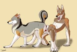 2animals 2boys 2dogs anal animal_genitalia anthro anthro_on_feral anus balls canid canine canine_penis canis coyote dog-bone double_knotting feral furry high_resolution interspecies knotting male male/male male_on_male mammal mutual_anal mutual_fuck mutual_knotting mutual_penetration nude original_character penetration penis penis_backwards sex sketch tail terak testicles very_high_resolution wolf yaoi zoophilia