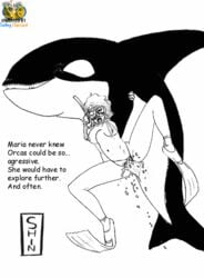 animated bestiality gif killer_whale male penis surfing_charizard tagme zoophilia