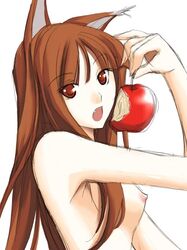 1girls 2d animal_ears apple apples breasts brown_hair food fruit holo ribi small_breasts solo spice_and_wolf wolf_ears