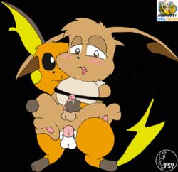 animated eevee furry furry_only male male_only multiple_males pokemon pokemon_(species) psyredtails raichu surfing_charizard tagme yaoi