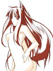 holo from spice and wolf by ribi
