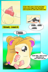 1boy 1girls comic cum curby dialogue hamtaro_(series) penis pussy sandy_(hamtaro) stan_(hamtaro) text