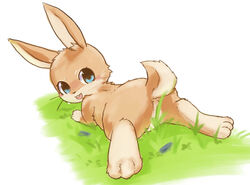 2017 ass blue_eyes blush brown_fur convenient_censorship female feral fur grass lagomorph looking_at_viewer mammal open_mouth paws pussy rabbit rag._(artist) solo