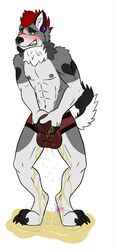 abs athletic big_bulge blush briefs bulge canine canine clenched_teeth clothing embarrassed facial_piercing flaccid hair holding_crotch makellyn malamute male mammal nose_piercing omorashi peeing penis piercing simple_background teeth underwear urine wetting white_background