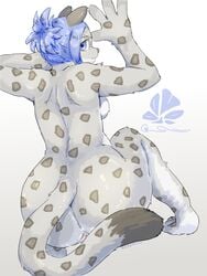 ass blue_eyes blue_hair female furry sasamino short_hair snow_leopard