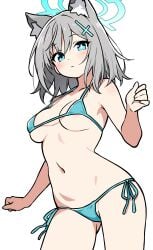 shiroko (blue archive) from blue archive by ecgg (tsuji418477)