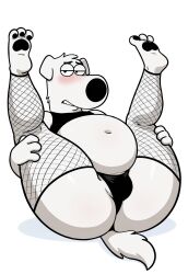 brian griffin from family guy