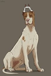 2018 4_toes animal_genitalia bandage brown_eyes brown_skin canine cinta ears_up feral fully_sheathed great_dane male male_only mammal multicolored_skin pawpads paws sheath simple_background sitting solo toes two_tone_skin white_skin