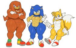 knuckles the echidna from sonic (series) by nattonsfw